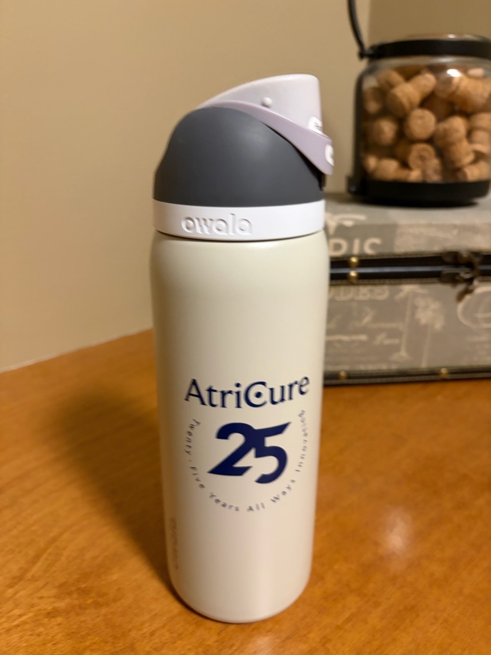 Awala Steel Locking Water Bottle with Gray Lid